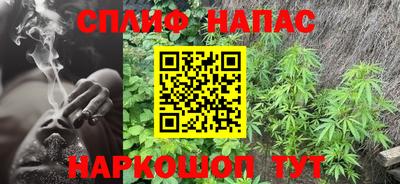 молекула духа Бийск