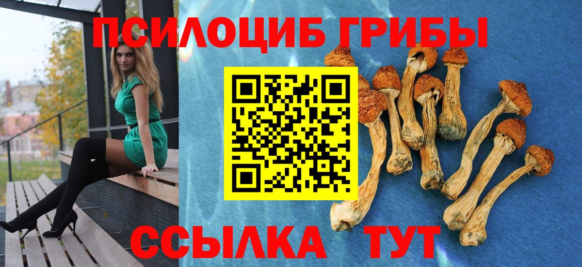 Галлюциногенные грибы Cubensis Камень-на-Оби