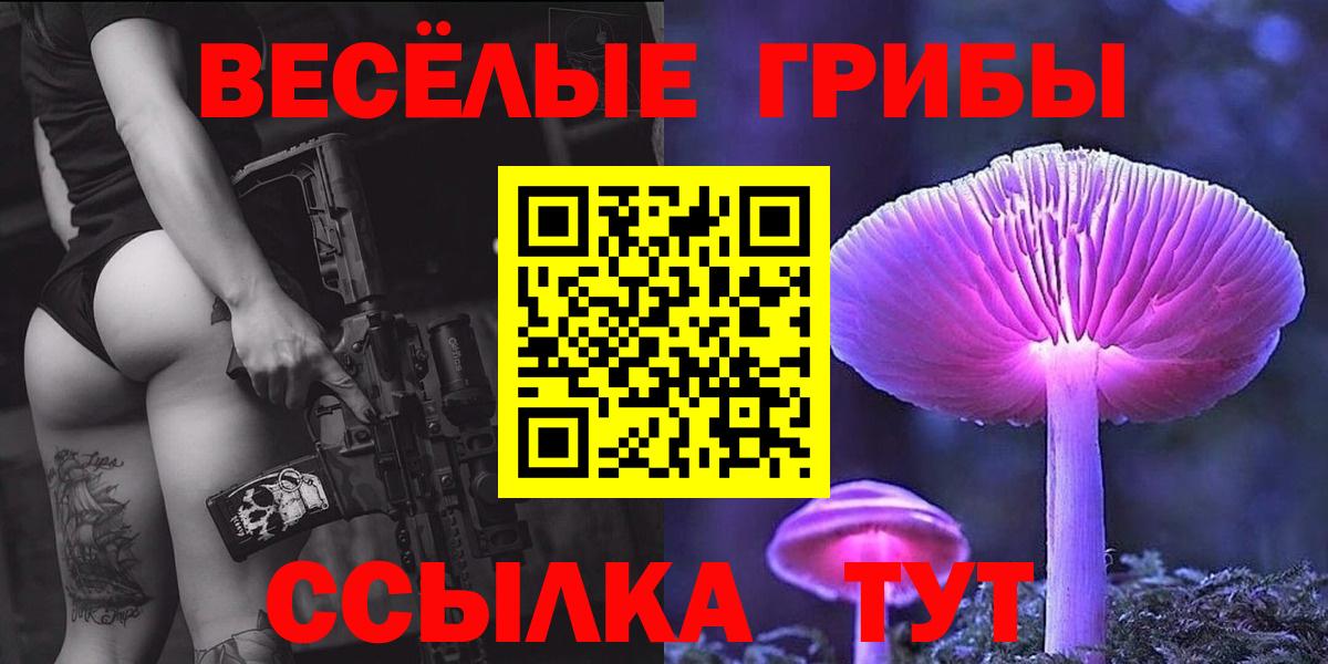 Камень-на-Оби  Псилоцибиновые грибы Cubensis  Вход с VPN 